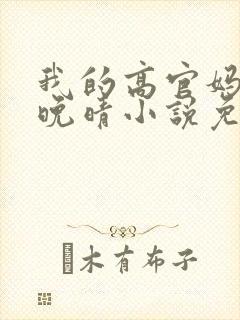 我的高官妈妈苏晚晴小说免费阅读