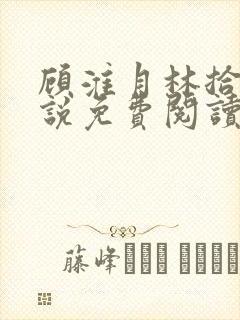 顾淮月林拾安小说免费阅读最新章节