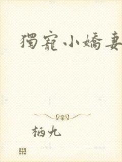 独宠小娇妻封面