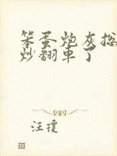 笨蛋炮灰总被爆炒翻车了