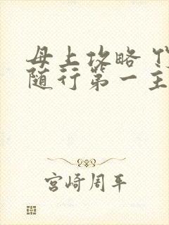 母上攻略 竹影随行第一主板