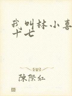 我叫林小喜今年十七