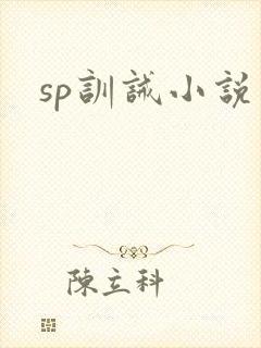 sp训诫小说