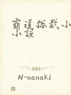 霸道总裁小娇妻小说