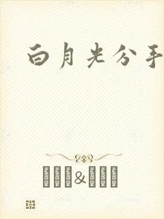白月光分手日常
