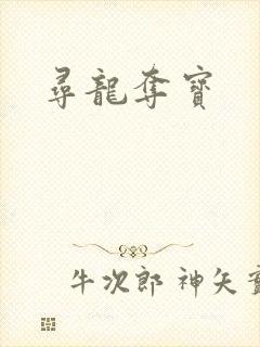 寻龙夺宝