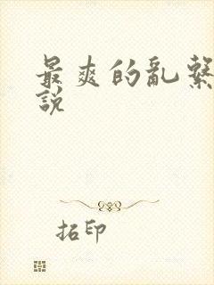 最爽的乱系列小说