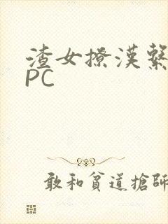 渣女撩汉系统NPC