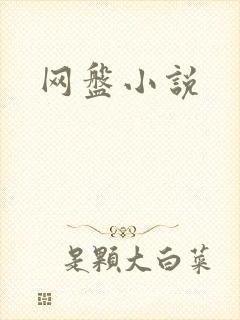 网盘小说