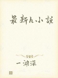 最新h小说封面