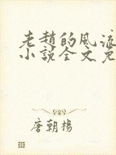 老赵的风流人生小说全文免费阅读