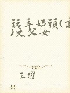 玩弄奶头(高h)文父女封面