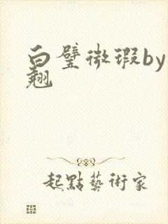 白璧微瑕by连翘