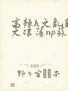 高辣h文乱乳h文浪荡np苏夏