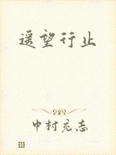 遥望行止封面