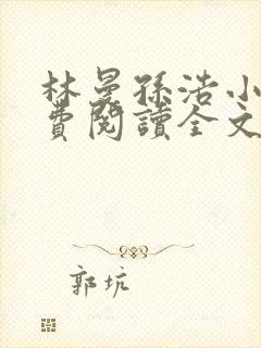 林曼孙浩小说免费阅读全文最新章节