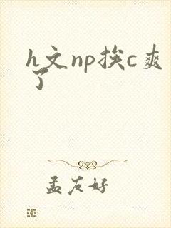 h文np挨c爽了封面
