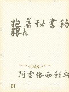 抱着秘书的大乳啃h封面