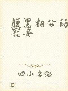 腹黑相公的庶女宠妻