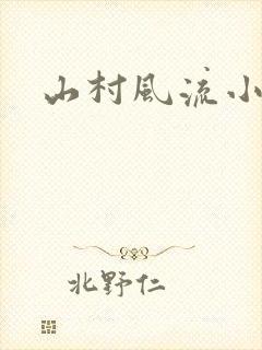 山村风流小说封面