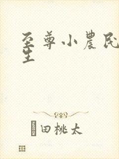 至尊小农民王木生