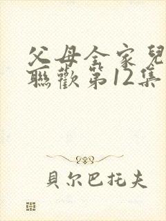 父母全家儿女大联欢第12集封面