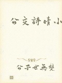 公交诗晴小说