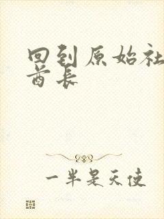 回到原始社会做酋长封面