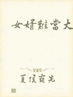 女婿难当大结局