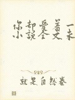 你却爱着一个他小说全文未删减免费