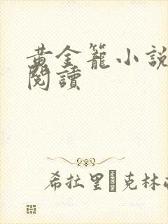 黄金笼小说免费阅读封面