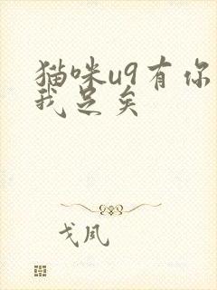 猫咪u9有你有我足矣