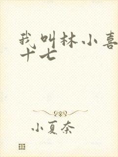 我叫林小喜今年十七