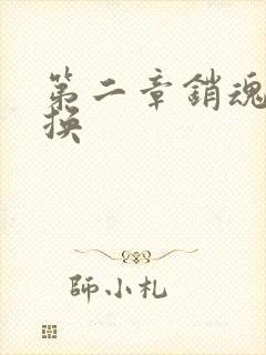 第二章销魂的交换