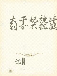 太子妃被暗卫C到合不拢腿