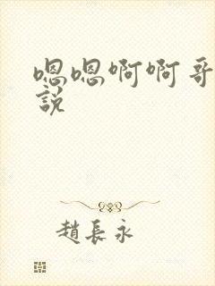 嗯嗯啊啊哥哥小说