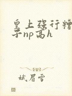 皇上强行糟蹋太子np高h