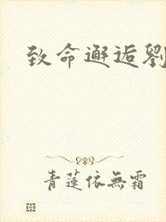 致命邂逅刘小寐