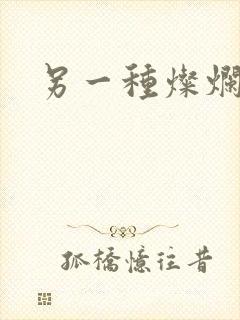 另一种灿烂生活