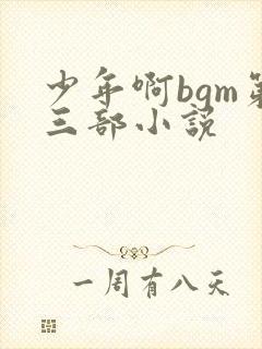 少年啊bgm第三部小说封面