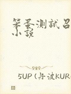 笨蛋测试召唤兽小说