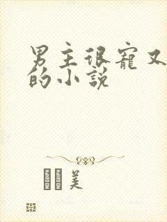 男主很宠又重欲的小说