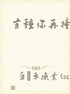 有种你再撞一下