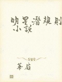 明星潜规则之皇 小说封面