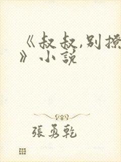 《叔叔,别撩我》小说