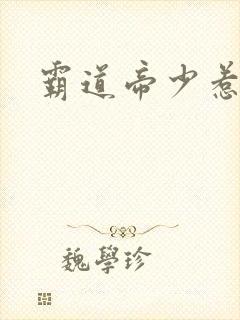 霸道帝少惹不得封面