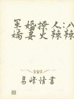 军婚撩人:八零娇妻火辣辣 玉青城