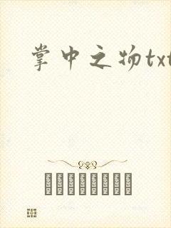 掌中之物txt封面