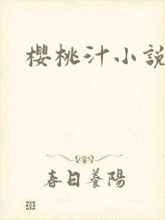 樱桃汁小说封面