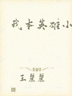 我本英雄小说